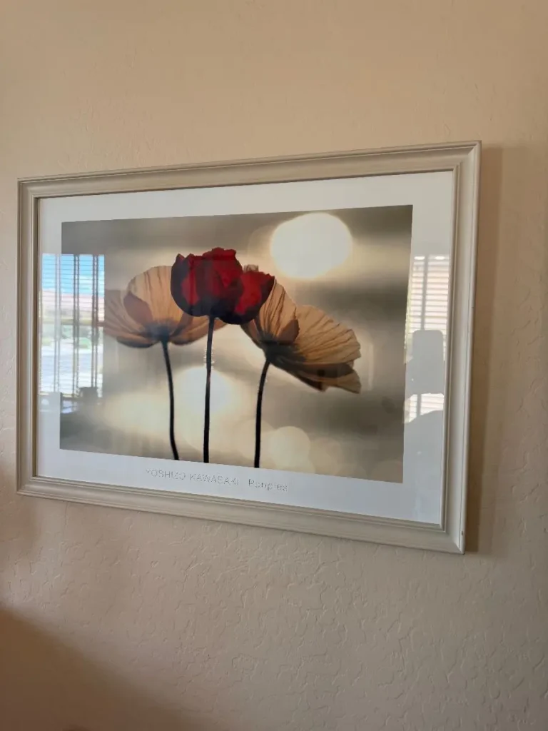 Item from the 50% OFF SATURDAY! Final Day!! DESIGNER'S DREAM HOME WITH BUSY BEES! estate sale in Casa Grande, AZ