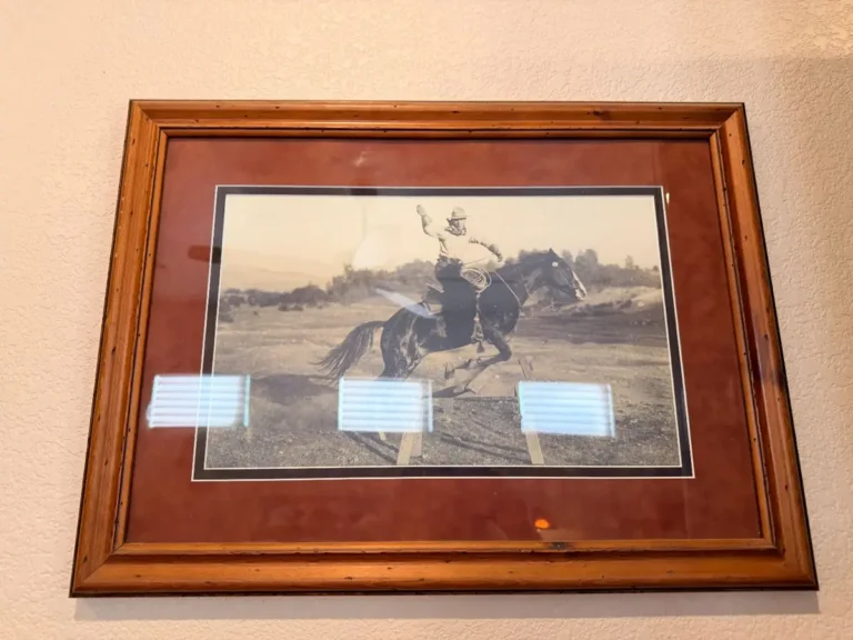 Item from the 50% OFF FINAL DAY! The Great Western Roundup With Busy Bees! - PART 2 estate sale in Cave Creek, AZ