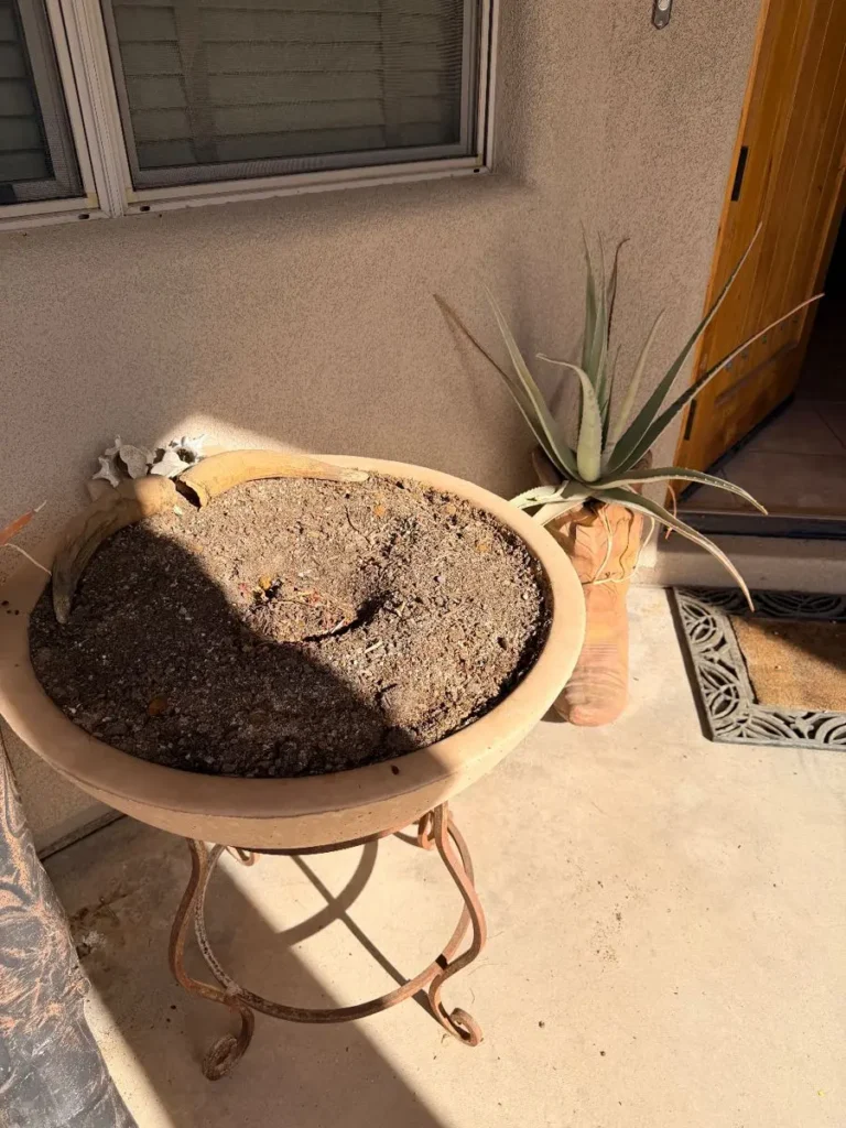 Item from the The Great Western Roundup - Part 1 estate sale in Cave Creek, AZ