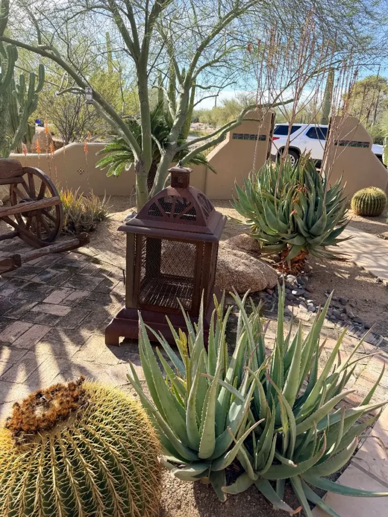 Item from the The Great Western Roundup - Part 1 estate sale in Cave Creek, AZ