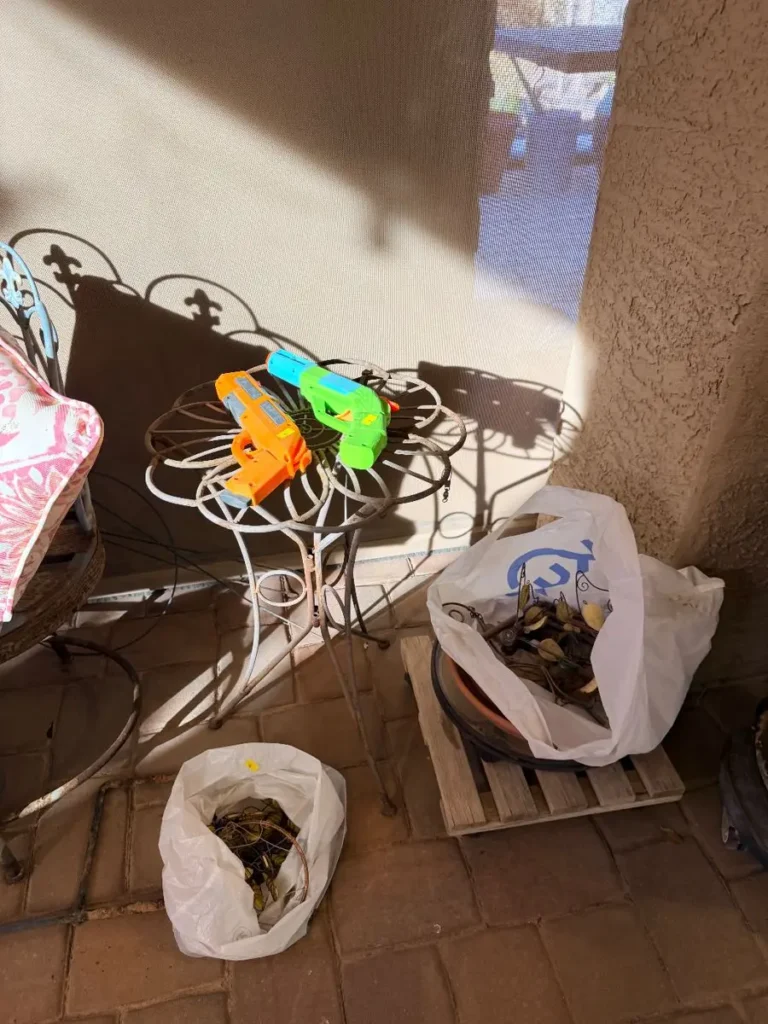 Item from the 50% OFF SATURDAY! Collectibles & Christmas in Sun Lakes with Busy Bees! estate sale in Chandler, AZ