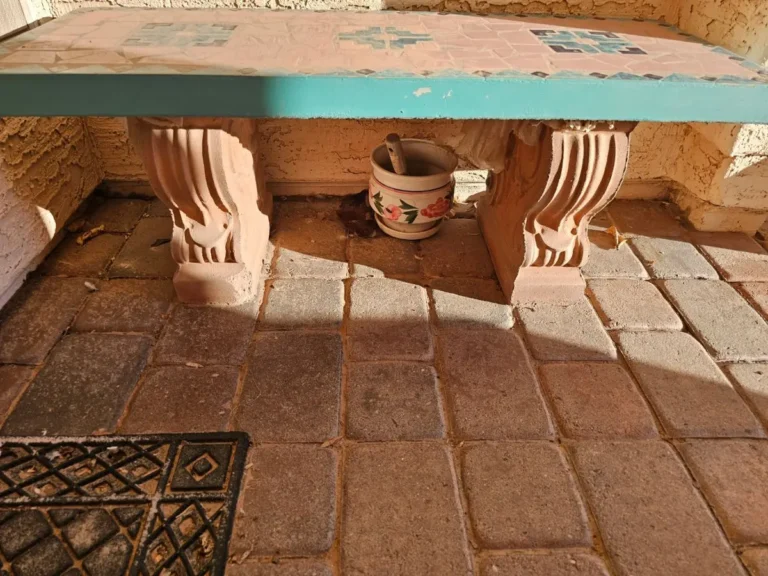 Item from the OPEN FRIDAY AND SATURDAY in Sunbird Golf Resort with Busy Bees! estate sale in Chandler, AZ