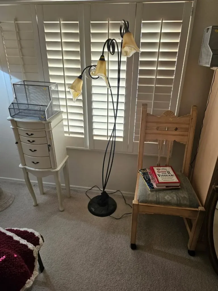 Item from the OPEN FRIDAY AND SATURDAY in Sunbird Golf Resort with Busy Bees! estate sale in Chandler, AZ