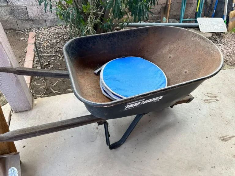 Item from the 50% OFF SATURDAY! FINAL DAY!Put Me In Coach-I’m Ready to Play with Busy Bees estate sale in Gilbert, AZ