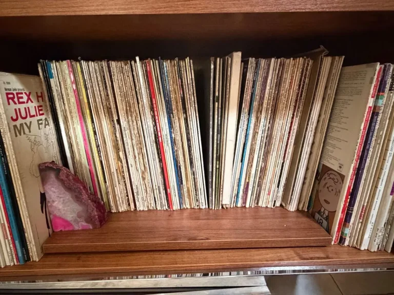 Item from the Whiskers, Wings and Southwestern Things with Busy Bees! estate sale in Mesa, AZ