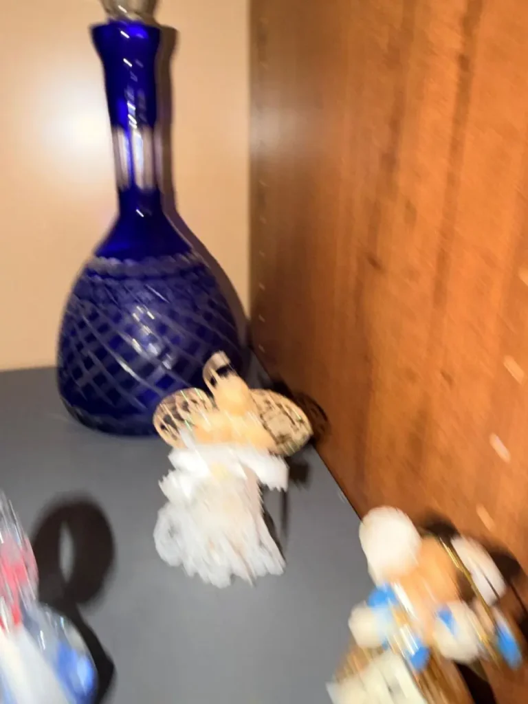 Item from the Whiskers, Wings and Southwestern Things with Busy Bees! estate sale in Mesa, AZ