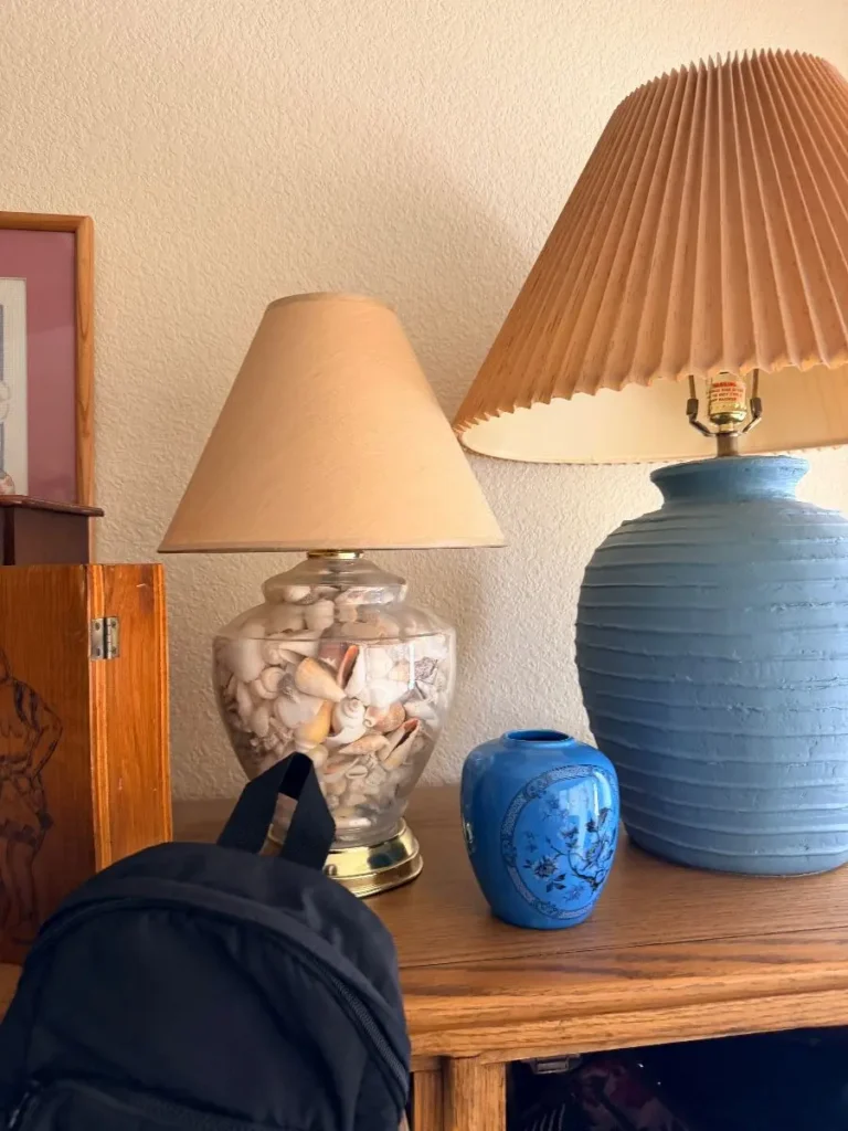 Item from the Whiskers, Wings and Southwestern Things with Busy Bees! estate sale in Mesa, AZ