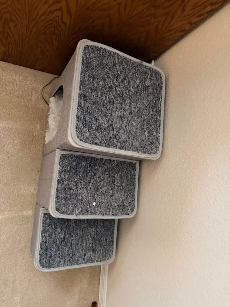 Item from the Whiskers, Wings and Southwestern Things with Busy Bees! estate sale in Mesa, AZ