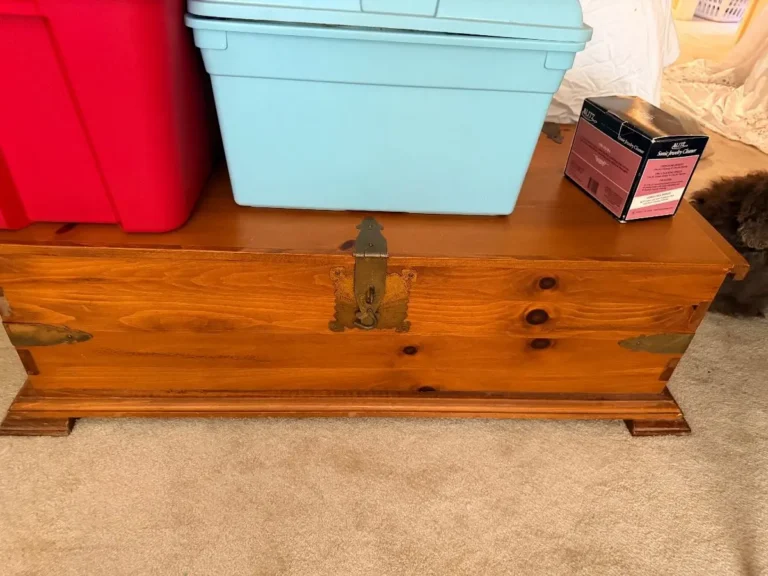 Item from the Whiskers, Wings and Southwestern Things with Busy Bees! estate sale in Mesa, AZ