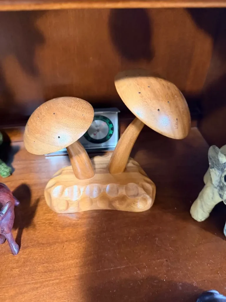Item from the Whiskers, Wings and Southwestern Things with Busy Bees! estate sale in Mesa, AZ