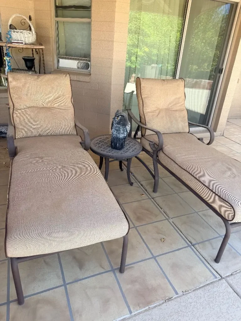 Item from the Whiskers, Wings and Southwestern Things with Busy Bees! estate sale in Mesa, AZ