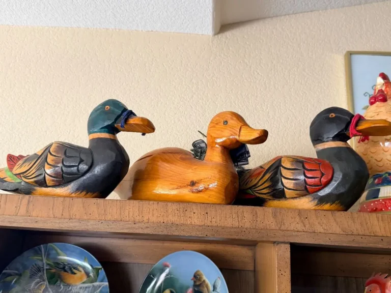 Item from the Whiskers, Wings and Southwestern Things with Busy Bees! estate sale in Mesa, AZ
