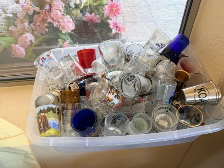 Item from the Whiskers, Wings and Southwestern Things with Busy Bees! estate sale in Mesa, AZ
