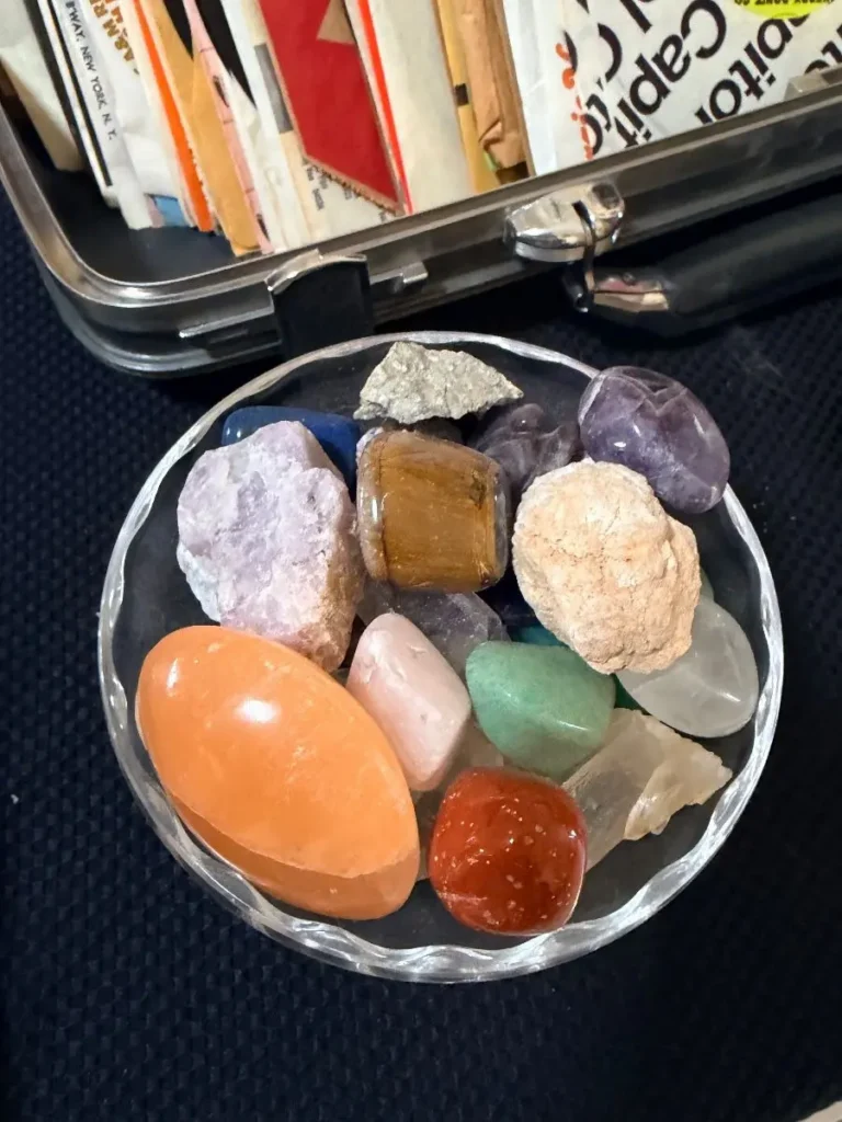 Item from the Whiskers, Wings and Southwestern Things with Busy Bees! estate sale in Mesa, AZ