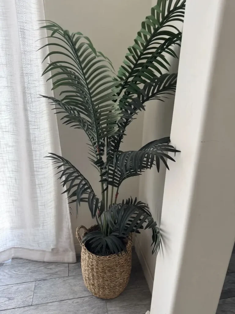 Item from the Sophisticated Phoenix Estate Sale – Designer Style, Modern Living & Outdoor Entertaining estate sale in Phoenix, AZ