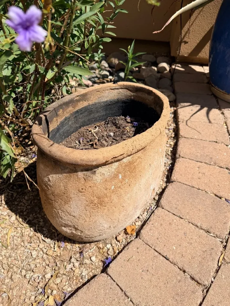 Item from the Treasures of the East: An Elegant Estate Collection” estate sale in Rio Verde, AZ