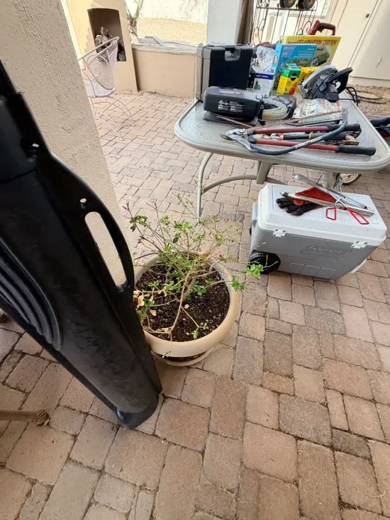 Item from the Packed Home by Busy Bees! estate sale in Scottsdale, AZ