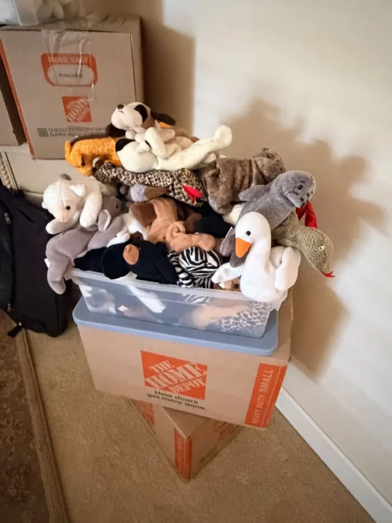 Item from the Packed Home by Busy Bees! estate sale in Scottsdale, AZ
