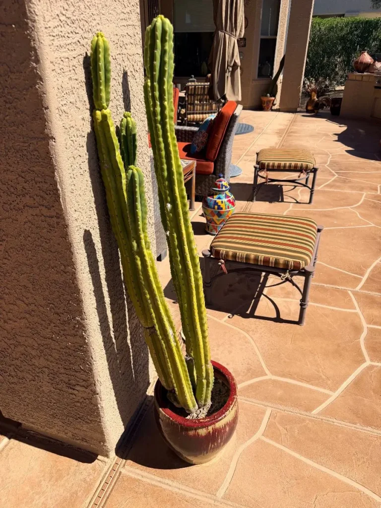 Item from the October Spectacular in Surprise with Busy Bees! estate sale in Surprise, AZ