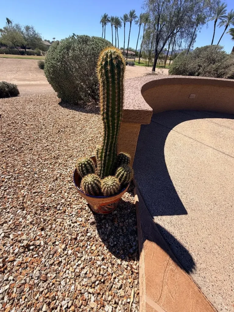 Item from the October Spectacular in Surprise with Busy Bees! estate sale in Surprise, AZ