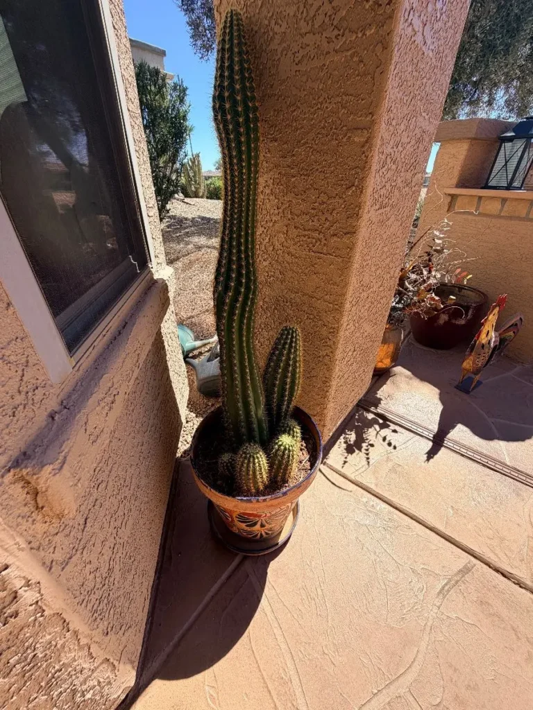 Item from the October Spectacular in Surprise with Busy Bees! estate sale in Surprise, AZ