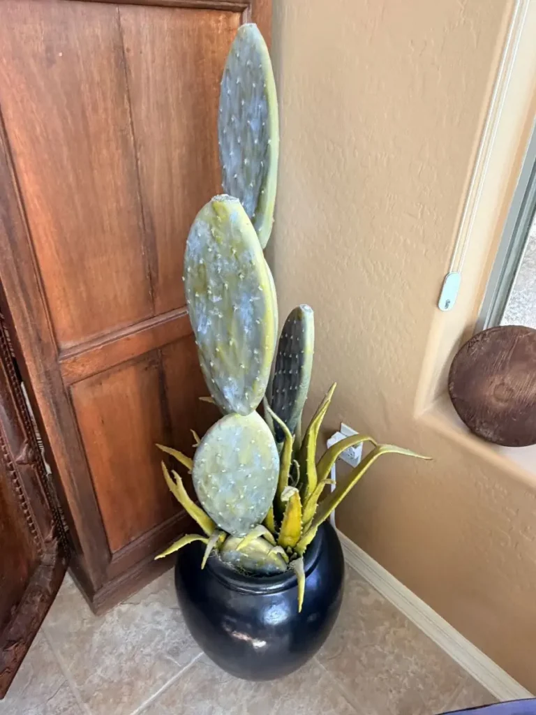 Item from the October Spectacular in Surprise with Busy Bees! estate sale in Surprise, AZ