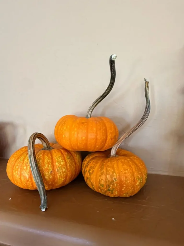 Item from the October Spectacular in Surprise with Busy Bees! estate sale in Surprise, AZ