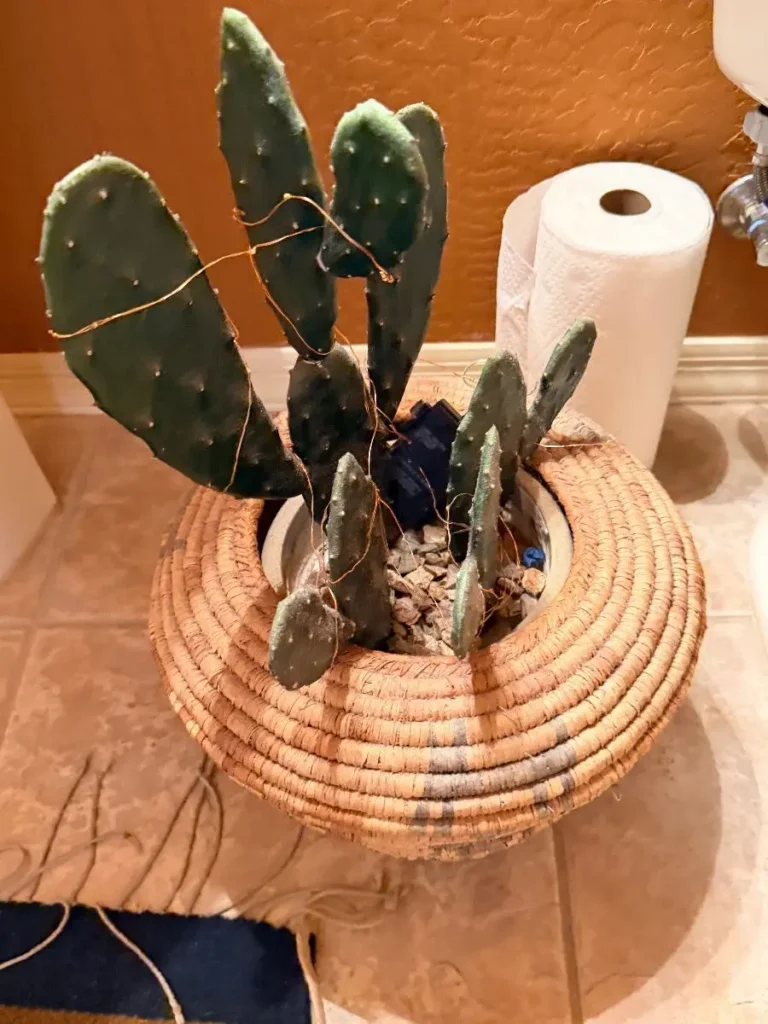 Item from the October Spectacular in Surprise with Busy Bees! estate sale in Surprise, AZ