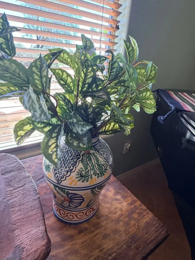 Item from the October Spectacular in Surprise with Busy Bees! estate sale in Surprise, AZ