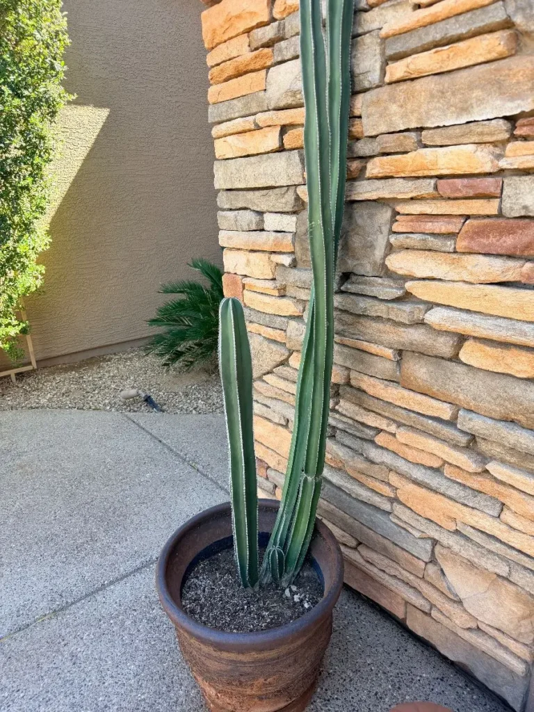 Item from the October Spectacular in Surprise with Busy Bees! estate sale in Surprise, AZ